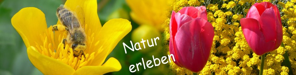 Wellnessurlaub und Natururlaub